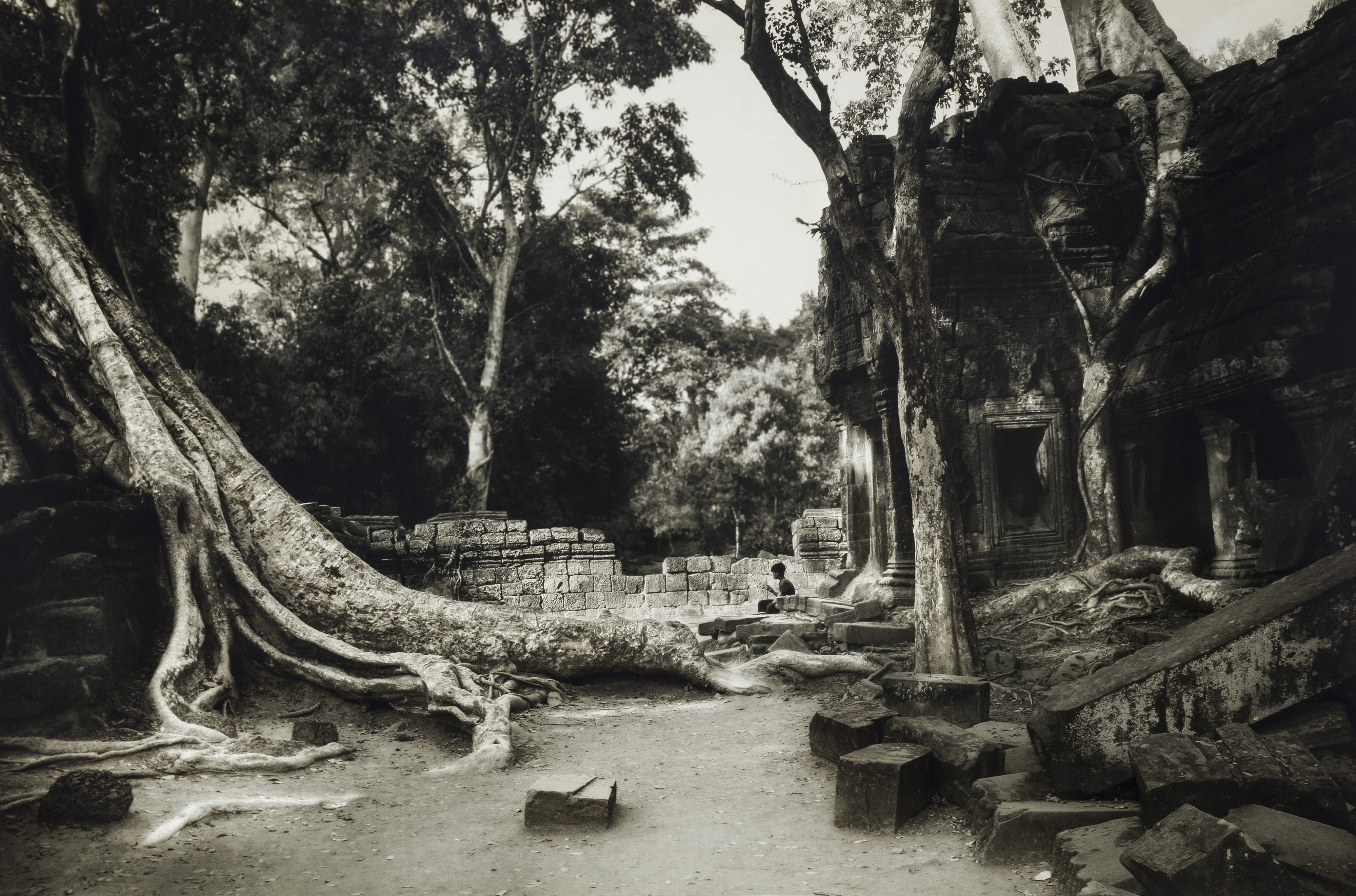 Magic place from the cicle Angkor - The Force Resides in Stones and Trees